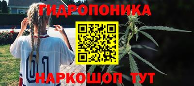 гашик Заволжье