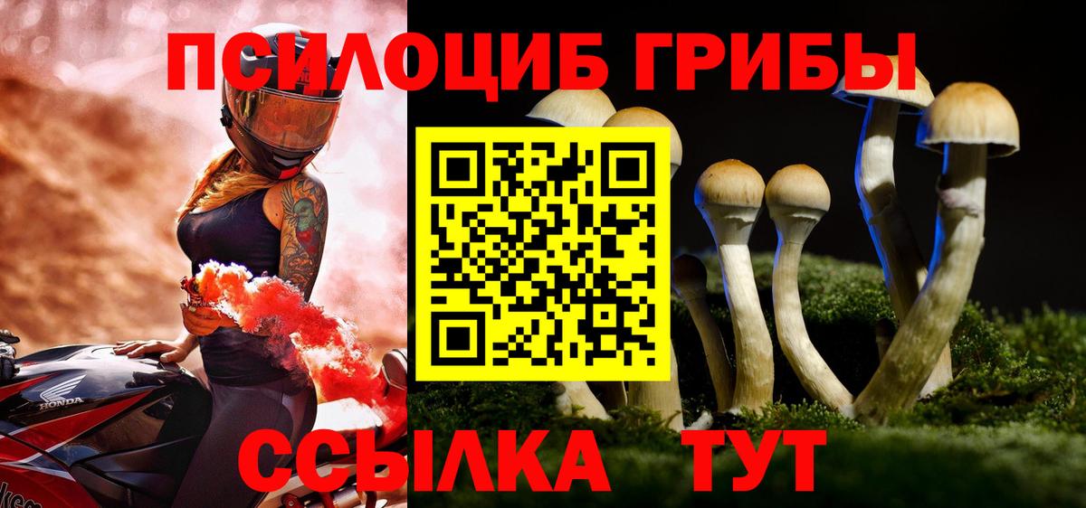 Псилоцибиновые грибы мухоморы  Псилоцибиновые грибы Cubensis  Вход с VPN  Красноярск 