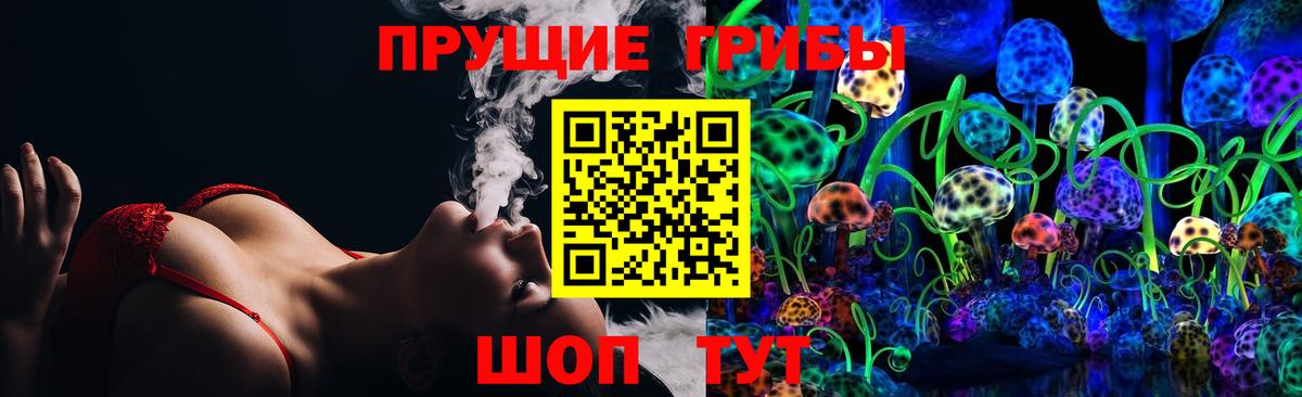 Псилоцибиновые грибы Cubensis Красноярск